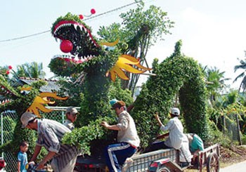 Flower growers who live outside of HCMC are upset as city space that they rely on to sell their blossoms has been reduced this year. (Photo: Phap Luat)
